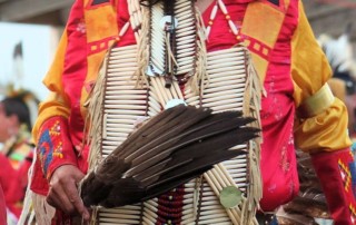 Taylorville Blackhorse Pow Wow - Taylorville Marina