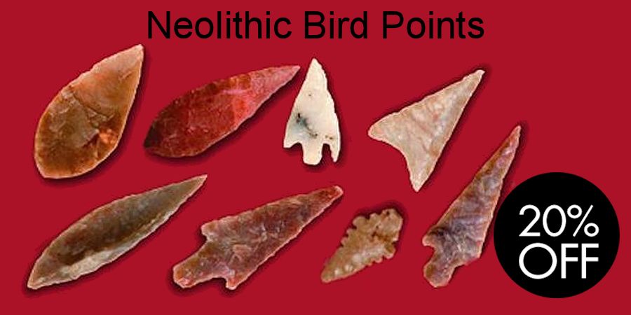 Neolithic Bird Points Sale - Crazy Crow Trading Post