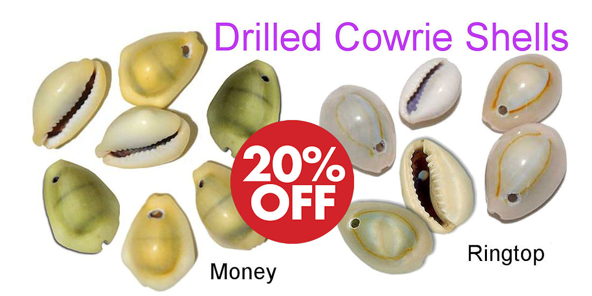 Drilled Cowrie Shell Sale - Crazy Crow Trading Post
