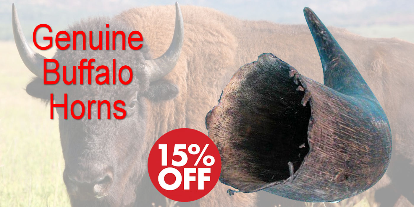 Genuine Buffalo Horns Sale - Crazy Crow Trading Post