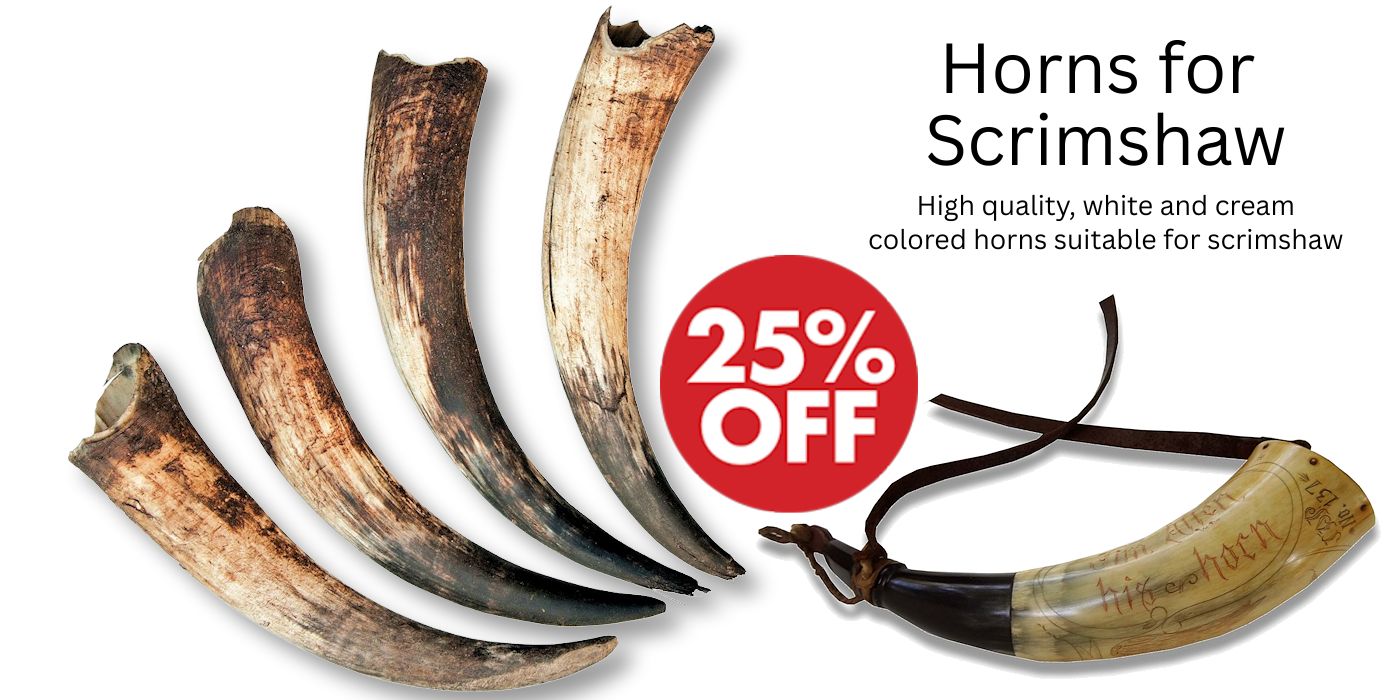 Scrimshaw Horns Sale - Crazy Crow Trading Post